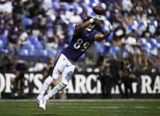 Week 4 Fantasy Football Tight End Rankings: Half-PPR Scoring news-24092024-224812