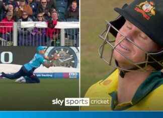 Brydon Carse’s Spectacular Diving Catch Shocks Steve Smith in England vs Australia Match news-24092024-224951
