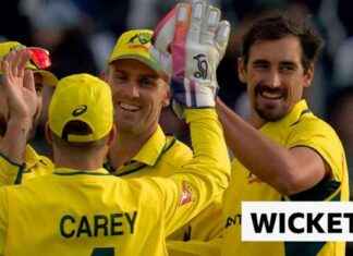England vs Australia 3rd ODI: Starc Strikes Early against Salt and Duckett news-24092024-225203