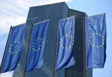 ECB’s Knot Predicts Rate Cuts Until Mid-2025 news-24092024-231447