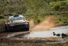 Paraguay Set to Deliver Unique WRC Story after Successful Test Event news-25092024-100100