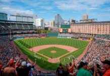 MLB’s Rule Changes Lead to Shorter Games and More Action news-27092024-141036