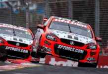 Aussie Alpha Males Flourishing at HRT: Friday Favorites news-27092024-141516