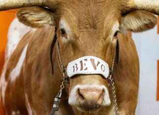 College Football Rankings: Texas, Ohio State, and Oregon Lead AP Top 25 – ESPN news-06102024-222234