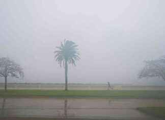 Jacksonville Jaguars Flight to London Delayed Due to Hurricane Milton news-11102024-053918