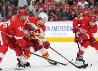 Lucas Raymond Scores Game-Winning Goal in Overtime to Lead Red Wings Past Flames news-29112024-173906