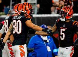 Bengals Deny Broncos Playoff-Clinching Victory in NFL Showdown bengals-deny-broncos-playoff-clinching-victory-in-nfl-showdown