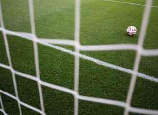 Tragedy in Guinea: 50 Feared Dead in Soccer Stadium Stampede news-02122024-154935