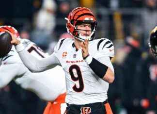 NFL Week 15: Bengals Stay in Playoff Race, Steelers Continue Losing Streak nfl-week-15-bengals-stay-in-playoff-race-steelers-continue-losing-streak