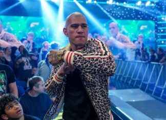 UFC 313: Alex Pereira vs. Magomed Ankalaev Fight Card & Details ufc-313-alex-pereira-vs-magomed-ankalaev-fight-card-details