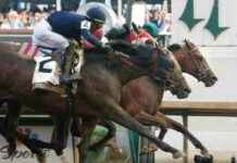 2025 Preakness Stakes: Horses, Odds, Futures, Picks & Date 2025-preakness-stakes-horses-odds-futures-picks-date